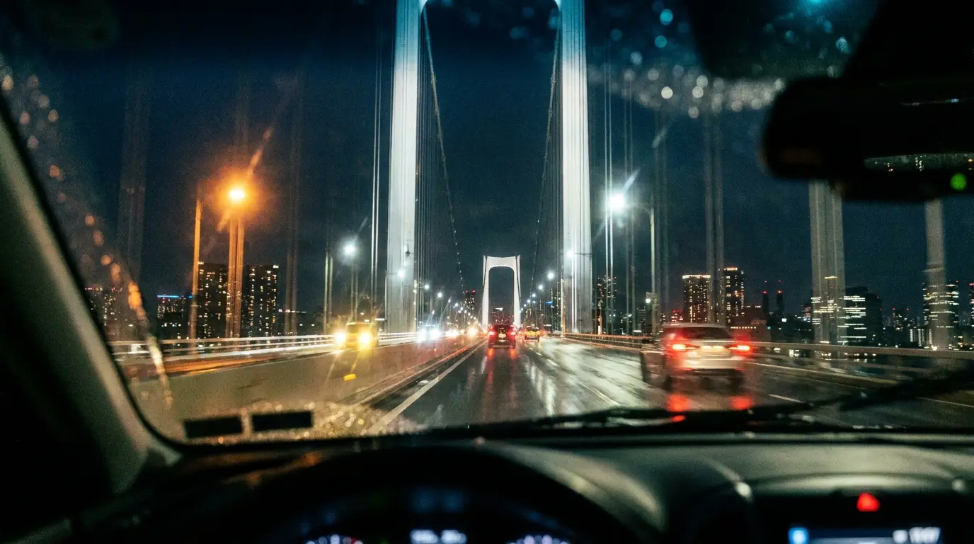 Crossing the Bosphorus bridge at night.